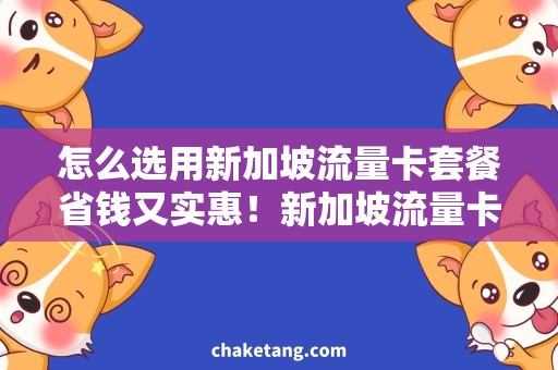 怎么选用新加坡流量卡套餐省钱又实惠！新加坡流量卡套餐选购攻略