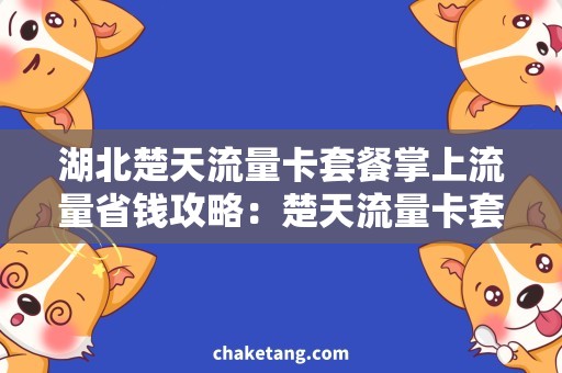 湖北楚天流量卡套餐掌上流量省钱攻略：楚天流量卡套餐需求大揭秘！