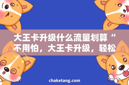 大王卡升级什么流量划算“不用怕，大王卡升级，轻松享受更流畅的上网体验！”