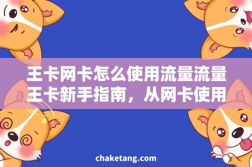 王卡网卡怎么使用流量流量王卡新手指南，从网卡使用到流量管理！