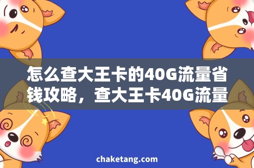 怎么查大王卡的40G流量省钱攻略，查大王卡40G流量使用情况