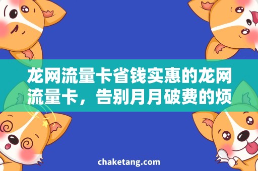 龙网流量卡省钱实惠的龙网流量卡，告别月月破费的烦恼