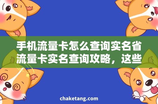 手机流量卡怎么查询实名省流量卡实名查询攻略，这些小技巧你知道吗？