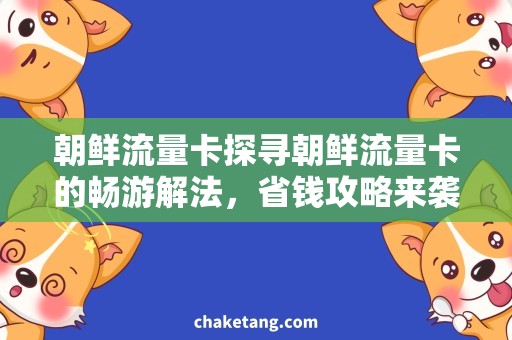 朝鲜流量卡探寻朝鲜流量卡的畅游解法，省钱攻略来袭！