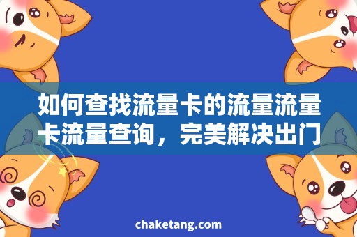 如何查找流量卡的流量流量卡流量查询，完美解决出门用网难题！