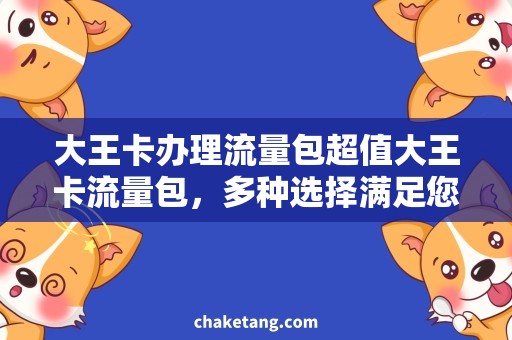 大王卡办理流量包超值大王卡流量包，多种选择满足您的需求！