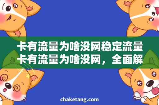 卡有流量为啥没网稳定流量卡有流量为啥没网，全面解析无网问题