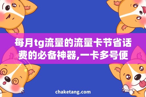 每月tg流量的流量卡节省话费的必备神器,一卡多号便捷轻松