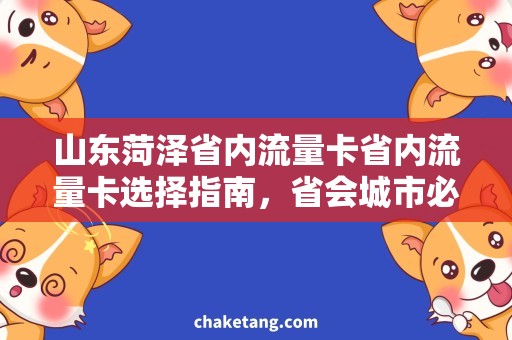 山东菏泽省内流量卡省内流量卡选择指南，省会城市必备！