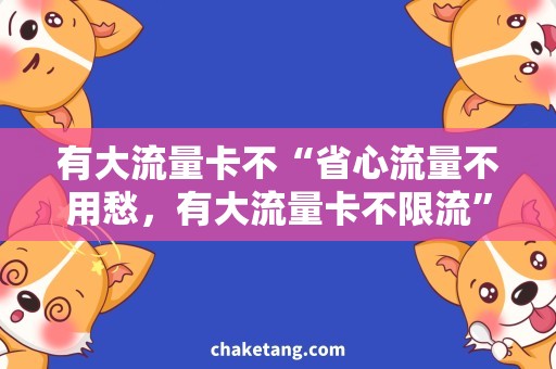 有大流量卡不“省心流量不用愁，有大流量卡不限流”