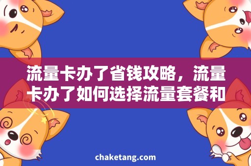 流量卡办了省钱攻略，流量卡办了如何选择流量套餐和充值方式？