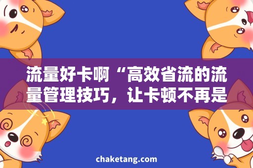 流量好卡啊“高效省流的流量管理技巧，让卡顿不再是问题！”