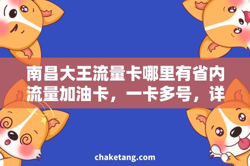 南昌大王流量卡哪里有省内流量加油卡，一卡多号，详细说明省内哪些地方可以使用