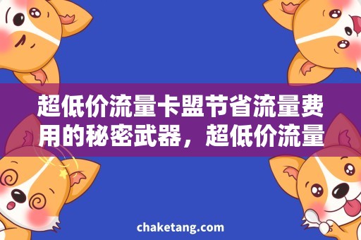 超低价流量卡盟节省流量费用的秘密武器，超低价流量卡盟详解