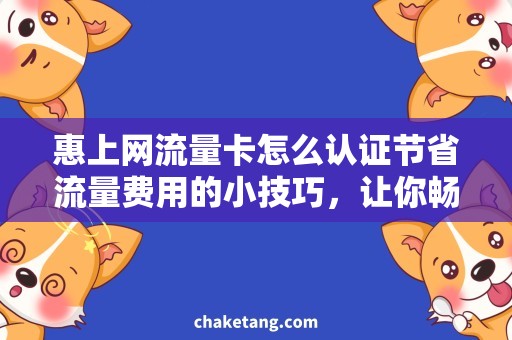 惠上网流量卡怎么认证节省流量费用的小技巧，让你畅享惠上网流量卡