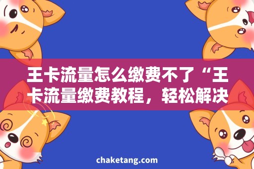 王卡流量怎么缴费不了“王卡流量缴费教程，轻松解决无法缴费问题”