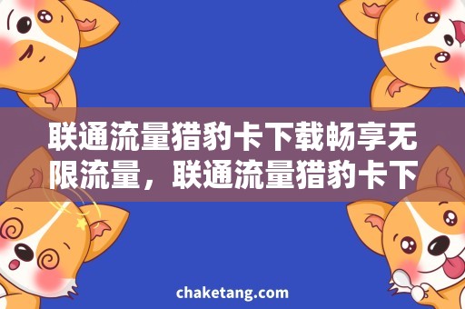 联通流量猎豹卡下载畅享无限流量，联通流量猎豹卡下载助您畅游互联网