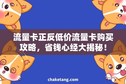 流量卡正反低价流量卡购买攻略，省钱心经大揭秘！