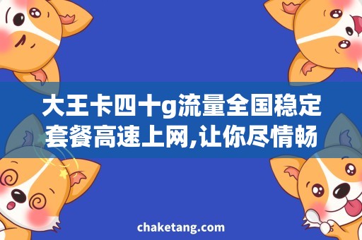 大王卡四十g流量全国稳定套餐高速上网,让你尽情畅享四十g全国流量