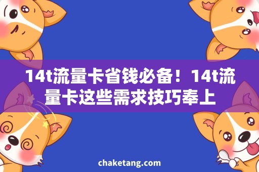 14t流量卡省钱必备！14t流量卡这些需求技巧奉上