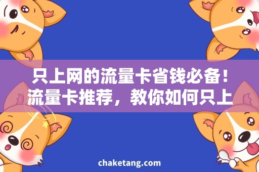 只上网的流量卡省钱必备！流量卡推荐，教你如何只上网！