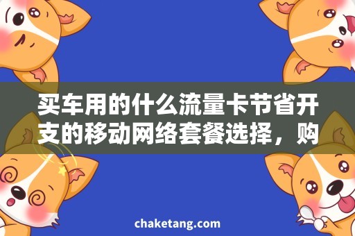 买车用的什么流量卡节省开支的移动网络套餐选择，购买车用的什么流量卡更经济实用？