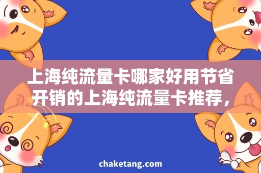 上海纯流量卡哪家好用节省开销的上海纯流量卡推荐，限时优惠等你来抢购！