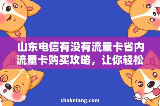 山东电信有没有流量卡省内流量卡购买攻略，让你轻松畅游山东！