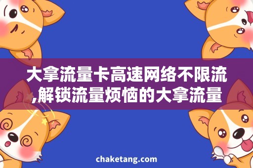 大拿流量卡高速网络不限流,解锁流量烦恼的大拿流量卡详解