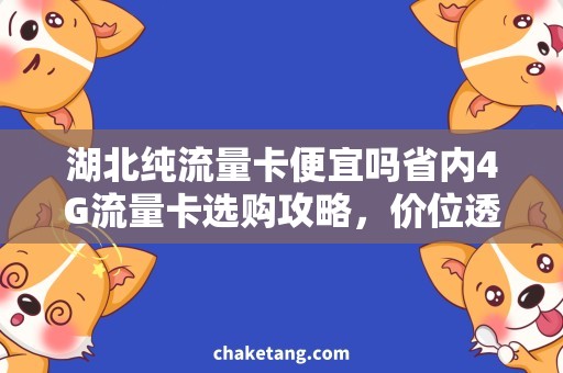 湖北纯流量卡便宜吗省内4G流量卡选购攻略，价位透明实惠