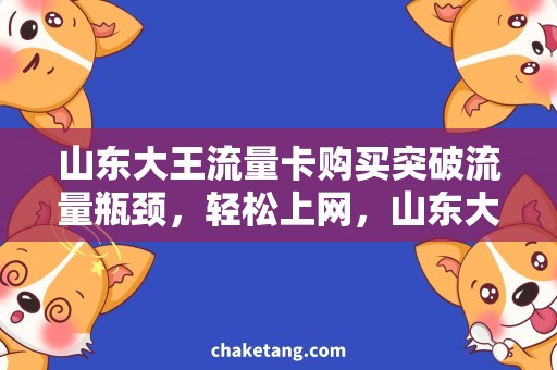 山东大王流量卡购买突破流量瓶颈，轻松上网，山东大王流量卡购买攻略！