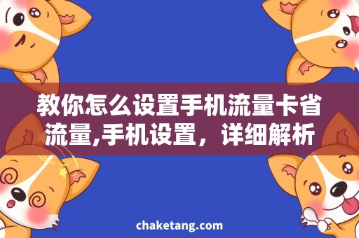 教你怎么设置手机流量卡省流量,手机设置，详细解析