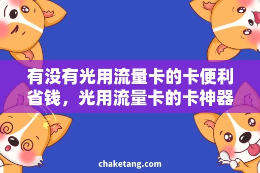 有没有光用流量卡的卡便利省钱，光用流量卡的卡神器让你尽情冲浪