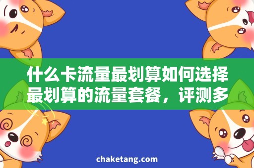 什么卡流量最划算如何选择最划算的流量套餐，评测多款流量卡套餐内容