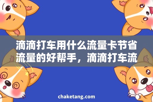 滴滴打车用什么流量卡节省流量的好帮手，滴滴打车流量卡需求分析