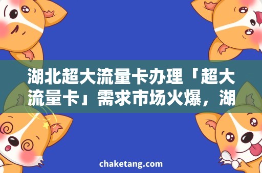 湖北超大流量卡办理「超大流量卡」需求市场火爆，湖北地区怎样办理？