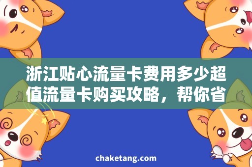 浙江贴心流量卡费用多少超值流量卡购买攻略，帮你省下浙江贴心流量卡费用