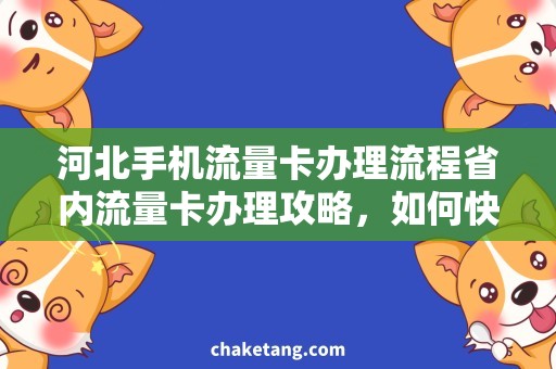 河北手机流量卡办理流程省内流量卡办理攻略，如何快速办理河北手机流量卡？