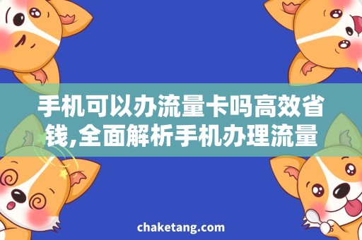 手机可以办流量卡吗高效省钱,全面解析手机办理流量卡的方法