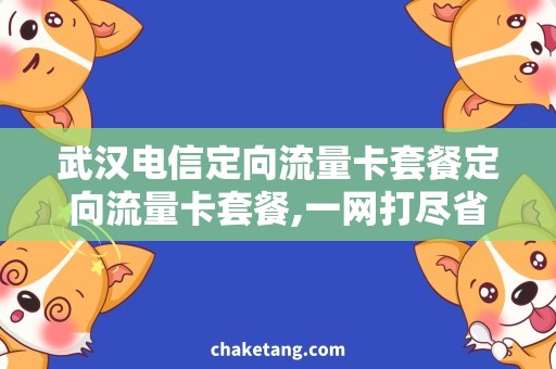 武汉电信定向流量卡套餐定向流量卡套餐,一网打尽省心不愁！