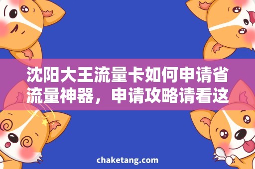 沈阳大王流量卡如何申请省流量神器，申请攻略请看这里！