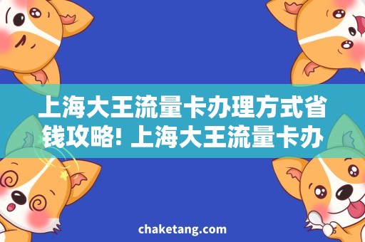 上海大王流量卡办理方式省钱攻略! 上海大王流量卡办理方式详解