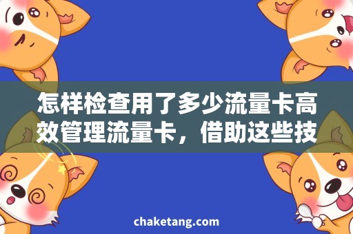 怎样检查用了多少流量卡高效管理流量卡，借助这些技巧告别超出流量，教你如何科学检查流量卡使用量