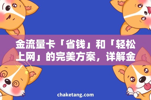 金流量卡「省钱」和「轻松上网」的完美方案，详解金流量卡