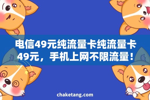 电信49元纯流量卡纯流量卡49元，手机上网不限流量！