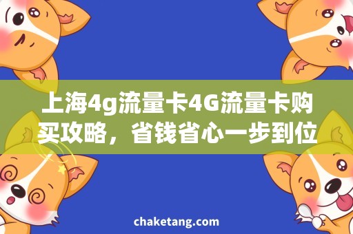 上海4g流量卡4G流量卡购买攻略，省钱省心一步到位