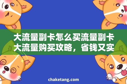 大流量副卡怎么买流量副卡大流量购买攻略，省钱又实惠！