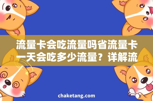 流量卡会吃流量吗省流量卡一天会吃多少流量？详解流量卡会吃流量吗的问题