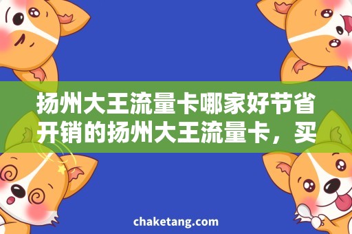 扬州大王流量卡哪家好节省开销的扬州大王流量卡，买卡首选哪家？