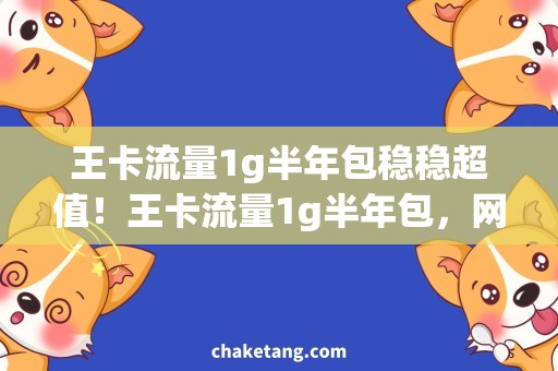 王卡流量1g半年包稳稳超值！王卡流量1g半年包，网速快且省钱